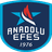 Anadolu Efes