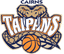 Cairns Taipans