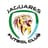 Jaguares de Córdoba FC