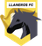 Llaneros FC