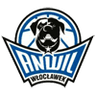 Anwil Wloclawek