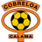 CD Cobreloa Calama