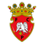 FC Penafiel
