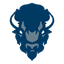 Bison