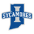 Sycamores