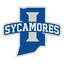 Sycamores