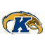 Golden Flashes