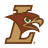 Mountain Hawks