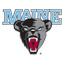 Black Bears
