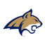 Bobcats