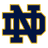 Fighting Irish