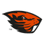 Beavers