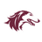 Salukis