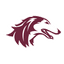 Salukis