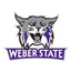 Wildcats