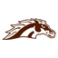 Broncos