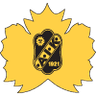 Skelleftea AIK