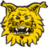 Ilves Tampere