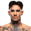 Andre Fili