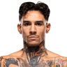 Andre Fili
