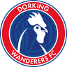 Dorking Wanderers FC